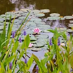 De Wilde Tuin - Tuinkamer