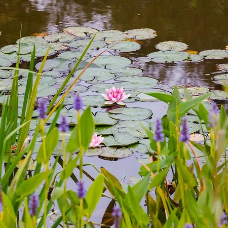 De Wilde Tuin - Tuinkamer
