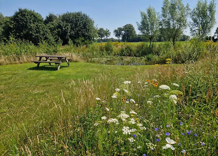 Апартаменты De Wilde Tuin - Tuinkamer *