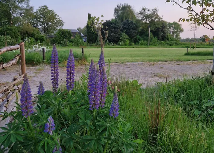 De Wilde Tuin - Tuinkamer Апартаменты