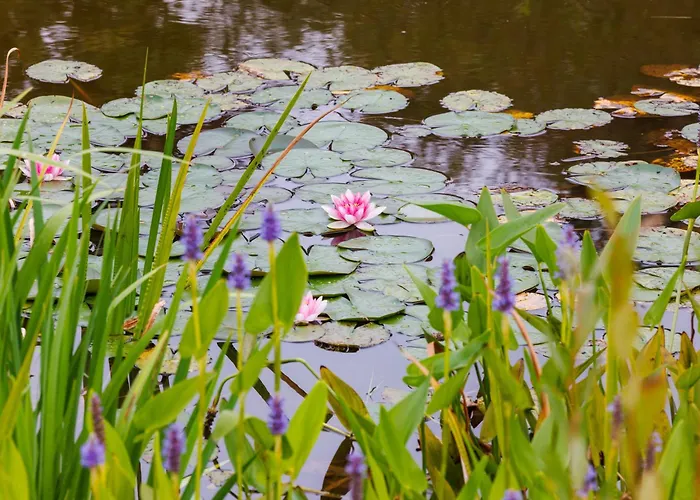 De Wilde Tuin - Tuinkamer
